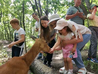 Сафари-парк: В гости к животным Приморского края