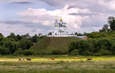 Автобусная экскурсия на Куликово поле