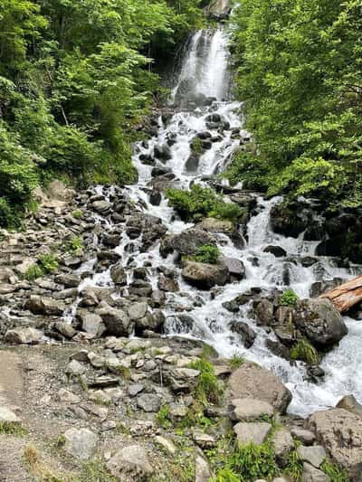 Джиппинг «Озеро Рица - Гегский водопад - Молочный водопад»