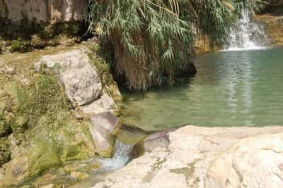 Водопады оазиса Эйн-Геди и отдых на пляже Мертвого моря