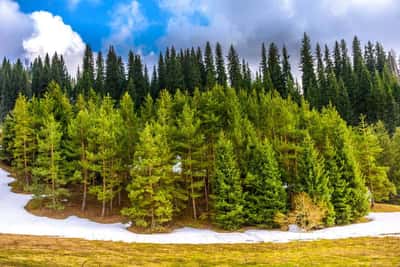 Прекрасное горное ущелье Заилийского Алатау