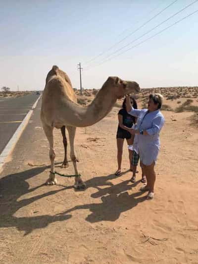 Индивидуальная экскурсия Абу-Даби