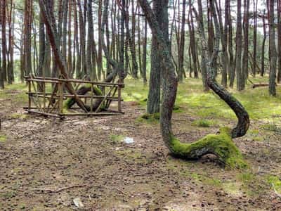 Куршская коса: автомобильная театрализованная аудиоэкскурсия (без билета)