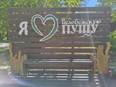 Экскурсия из Бреста в самое сердце Беловежской пущи на микроавтобусе