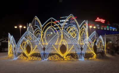 Новогодняя автобусно-пешеходная обзорная экскурсия по Рязани