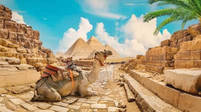 Цитадель Каира - сердце Египта (Сфинкс и Пирамиды) на самолете (всё включено)