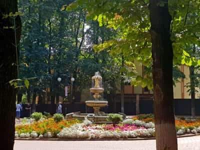 История Центрального парка культуры и отдыха Владимира