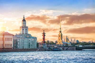 Петербург и 4 лапы