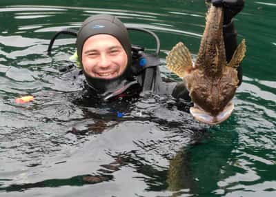 Гиганты Охотоморья. Экспедиция в бухты Онгачан и Врангеля