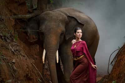 Приключение в джунглях Таиланда: фотосессия со слоном