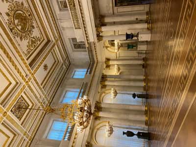 Эрмитаж. Только крысы и мы