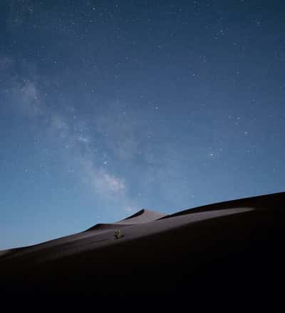 Вечернее сафари + незабываемая ночь в пустыне