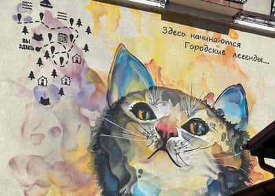 Море, замки и коты. Тур в Калининградскую область