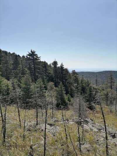 В настоящую тайгу на один день