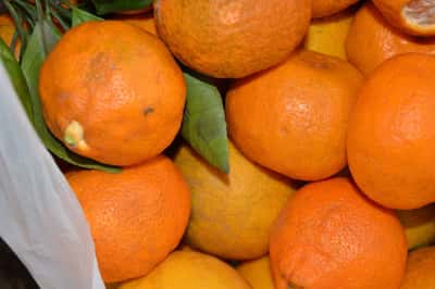 Батумский бульвар и незабываемый отпуск в Аджарии