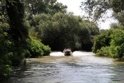 Долина лотосов и Азовское море