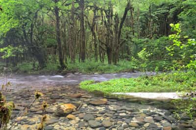 Джип-тур: Кодорское ущелье и Шакуранский водопад