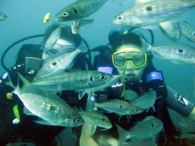 Дайвинг в Черном море