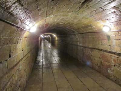 Гатчинский дворец с тематической программой Рождество в императорской семье