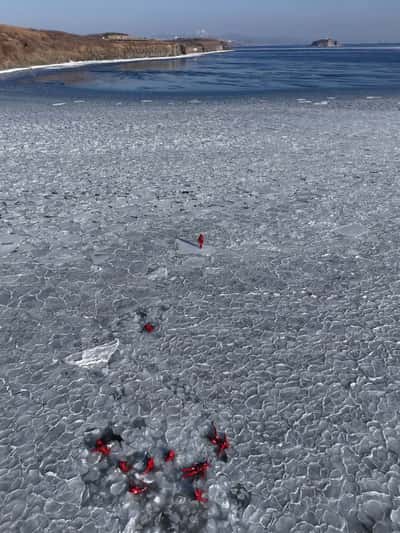 Айс флоатинг или Арктическое купание в мини-группе