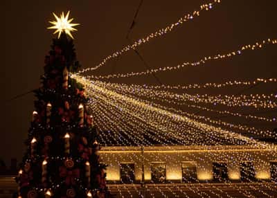 Новогодний классический Петербург. Тур на 5 дней