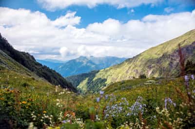 Олимпийское наследие Сочи: Гранд-тур по всей Красной поляне и шоу фонтанов