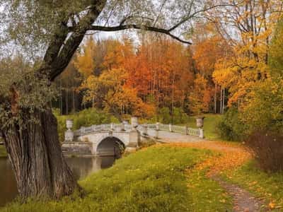 Экскурсия в Павловск