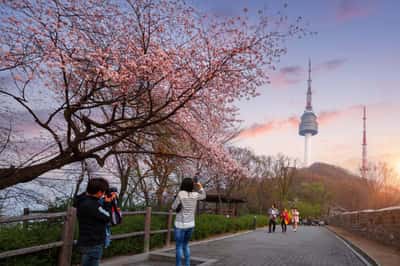 Сеул: билет на смотровую площадку башни N Seoul Tower