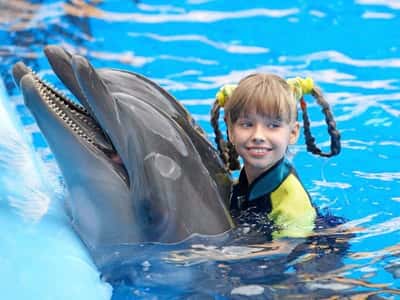 Плавание с дельфинами (10 минут)