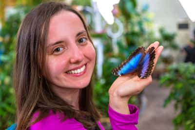 Мир бабочек: входной билет в Dubai Butterfly Garden