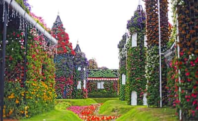 Парк цветов Miracle Garden и ярмарка Global Village