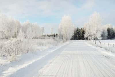 Зимняя сказка в Москве: Прогулка на снегоходах
