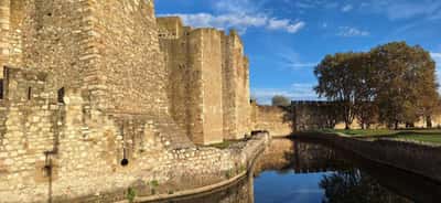 О культуре Сербии через её напитки