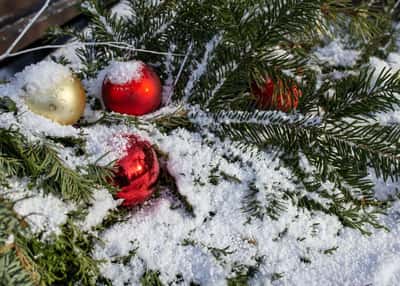 Новогодняя прогулка по Выборгу
