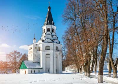Грозный царь, потешный флот и гусар лихих оплот! Зимний автобусный тур по Золотому кольцу