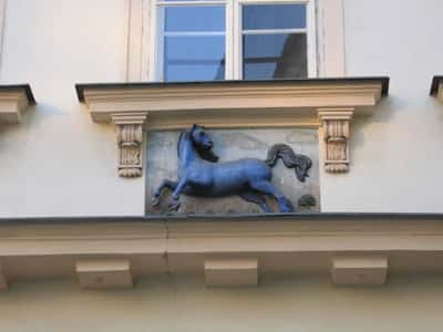 Магические защитники города