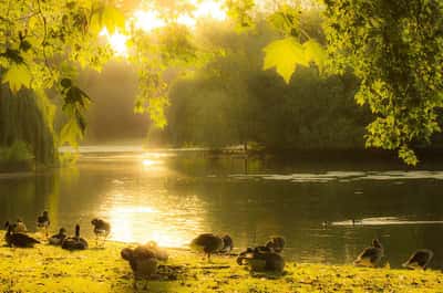 Тур для детей