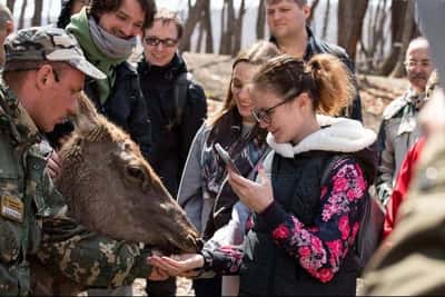 Приморский сафари-парк и три чарующие бухты