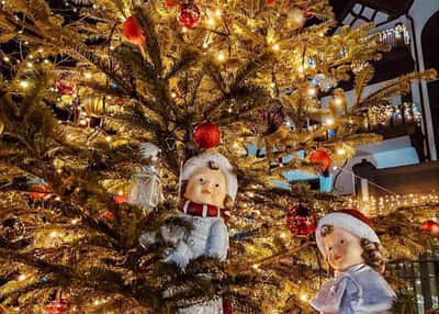 Новогоднее волшебство Кранца. Тур в Калининградскую область