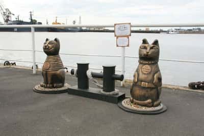 Кронштадт. Морской собор и парк «Остров Фортов»