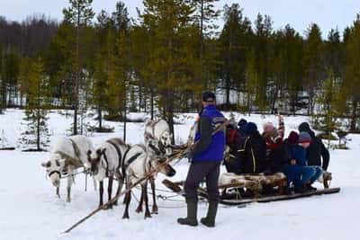 Тур в Саамскую деревню и Верхнетуломский