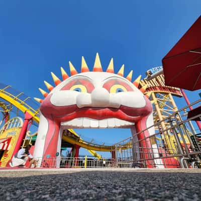 Входной билет в Ocean Park: мир животных, аттракционы и шоу