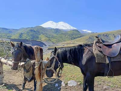 Джилы-Су и Северная Осетия - самые популярные локации Кавказа