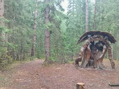 Злой город "Козельск, " Чертово городище ", национальный парк" Угра