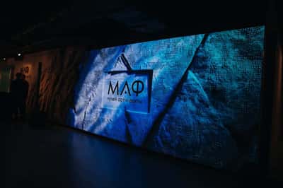 Индивидуальная экскурсия по музею «Арт и Факты» (МАФ)