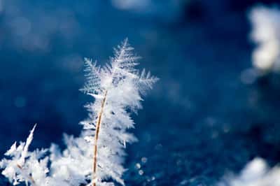 Индивидуальная прогулка по зимним Ладожским шхерам