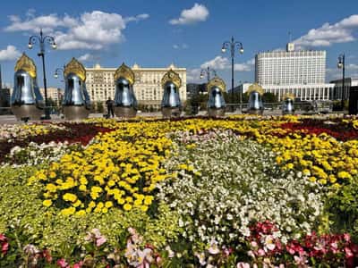 По самой главной улице Москвы «- круглогодичная речная экскурсия на яхте флотилии» Рэдиссон