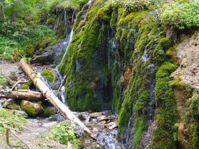 Путешествие к Емурлинскому водопаду