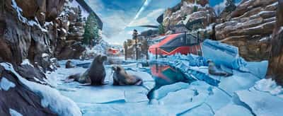 От полюсов до тропиков: тематический парк Sea World