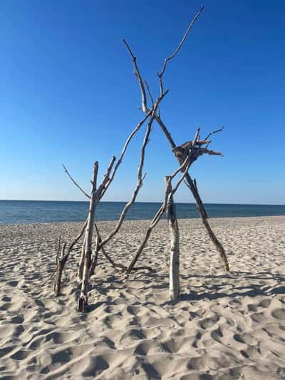 Брызги Балтики: Зеленоградск и Куршская коса